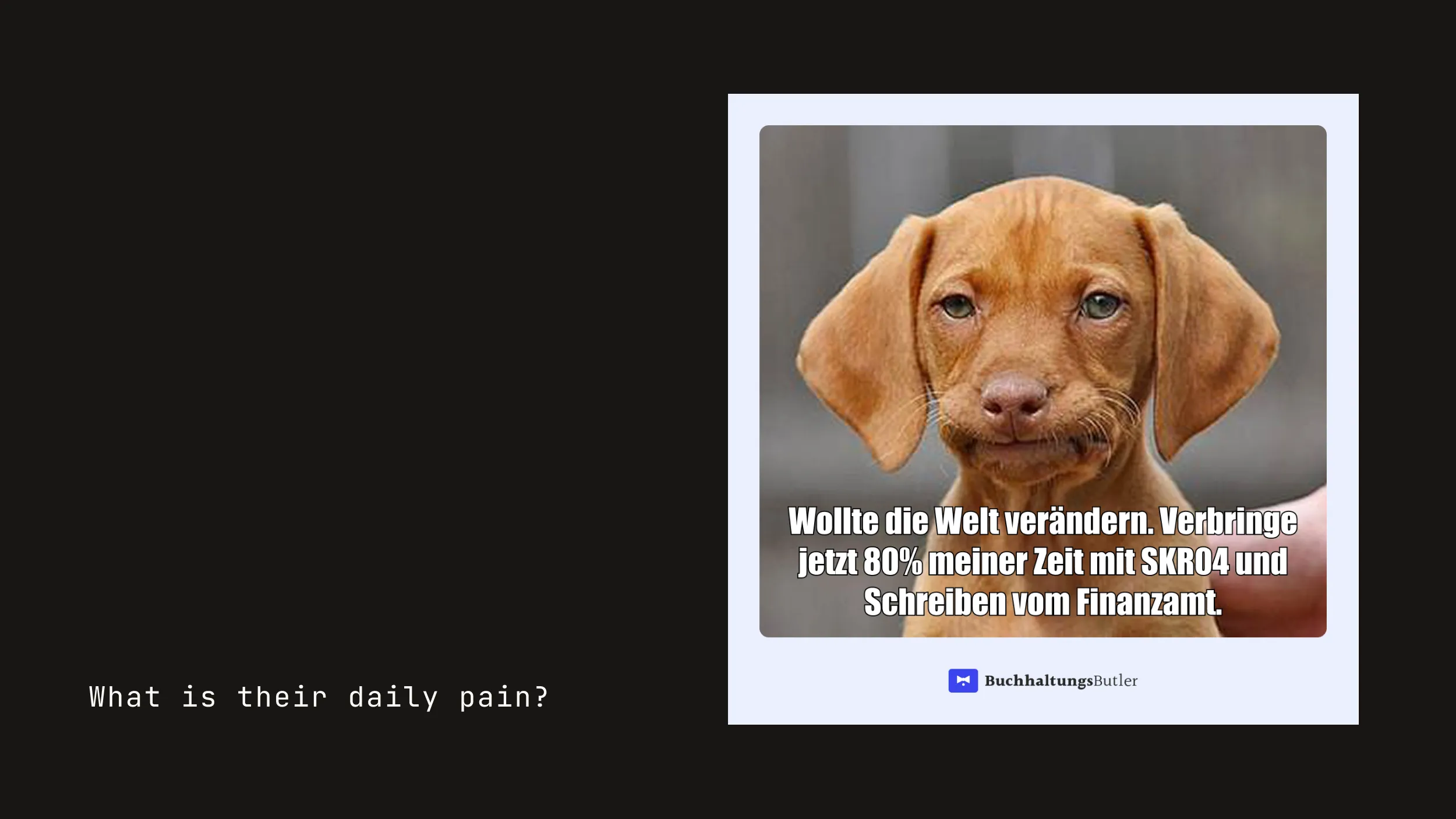 Slide showing a social post: a sad puppy with a German caption about SKR04 and letters from the tax office
